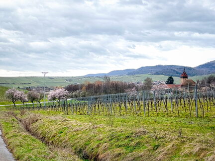 23-03-13 10-47-04 4824